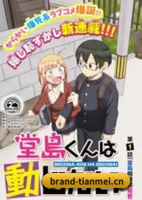 功能完善